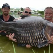 Cá chép kỹ lục thế giới nặng trên 100kg