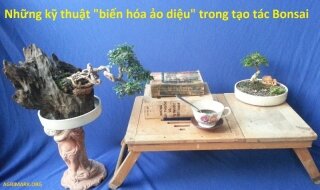 Những kỹ thuật “biến hóa ảo diệu” trong tạo tác Bonsai