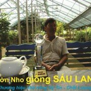 Nho sạch Sáu Lang – Thương hiệu Nhà Nông Việt