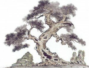 Những hình vẽ cây thế cổ truyền và giải nghĩa điển tích