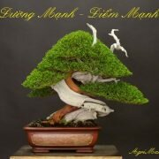 Đường mạnh – Điểm mạnh của một tác phẩm bonsai